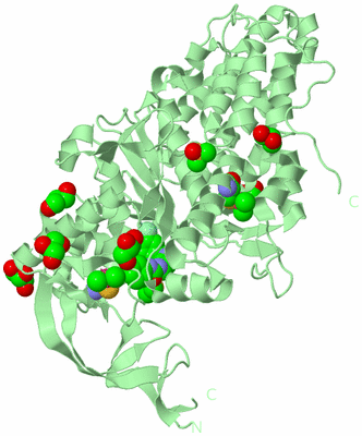 Image Biological Unit 2