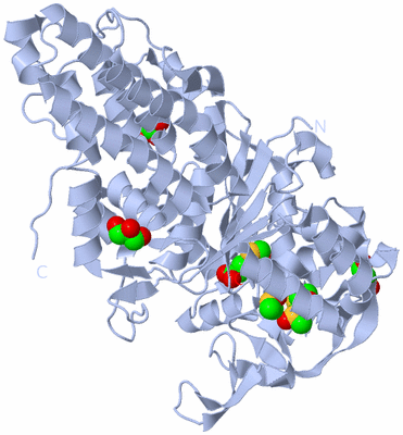 Image Biological Unit 1