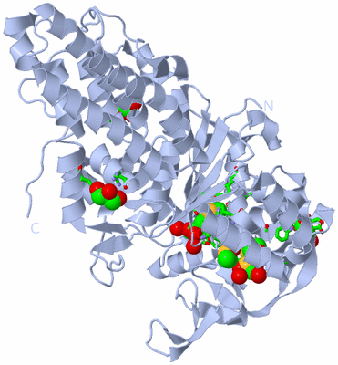 Image Biol. Unit 1 - sites