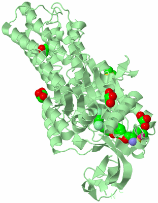 Image Biological Unit 2