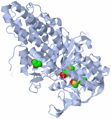 Image Biological Unit 1