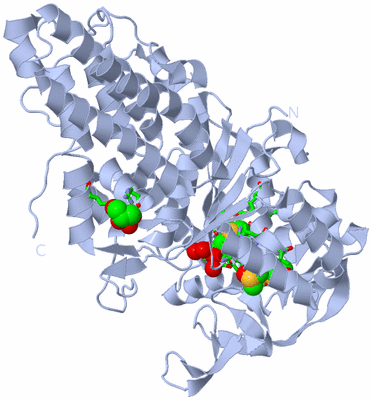 Image Biol. Unit 1 - sites