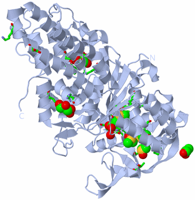 Image Biol. Unit 1 - sites