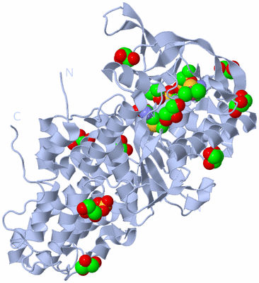 Image Biological Unit 1