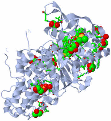 Image Biol. Unit 1 - sites