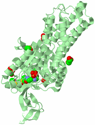 Image Biological Unit 2