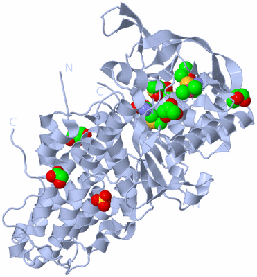 Image Biological Unit 1