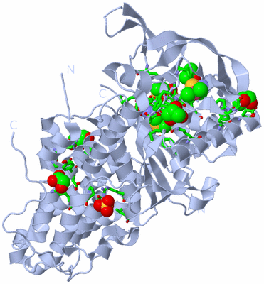 Image Biol. Unit 1 - sites