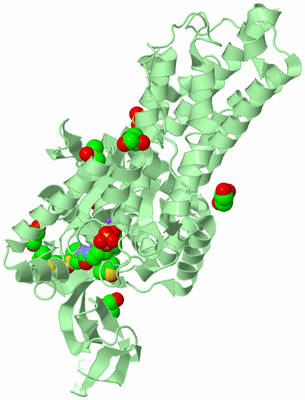 Image Biological Unit 2