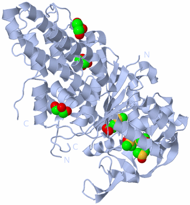 Image Biological Unit 1