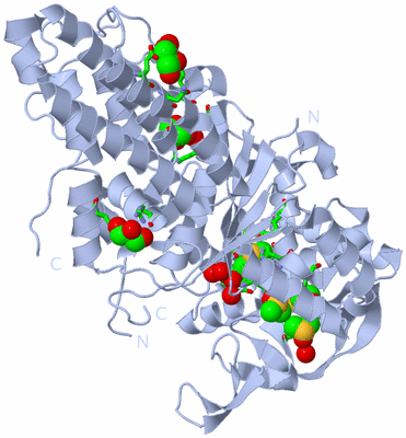 Image Biol. Unit 1 - sites