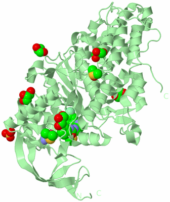 Image Biological Unit 2