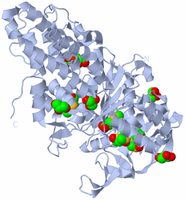 Image Biological Unit 1