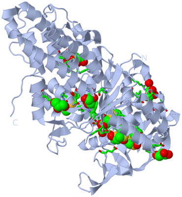 Image Biol. Unit 1 - sites