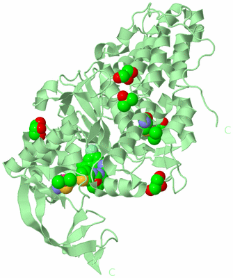 Image Biological Unit 2