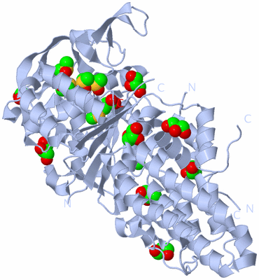 Image Biological Unit 1