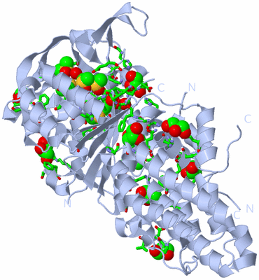 Image Biol. Unit 1 - sites