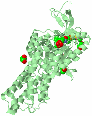 Image Biological Unit 2