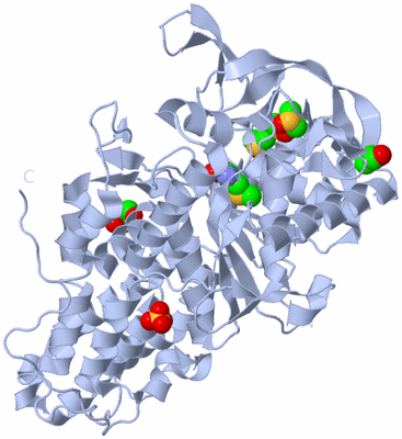 Image Biological Unit 1