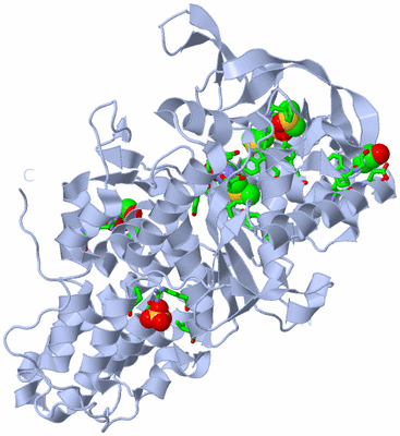 Image Biol. Unit 1 - sites