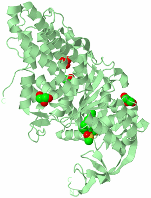 Image Biological Unit 2