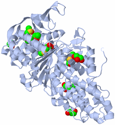 Image Biological Unit 1