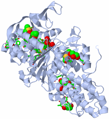 Image Biol. Unit 1 - sites