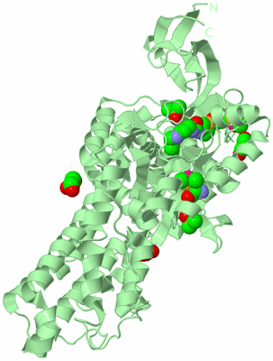 Image Biological Unit 2