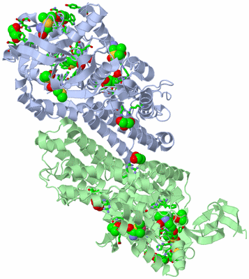 Image Asym. Unit - sites