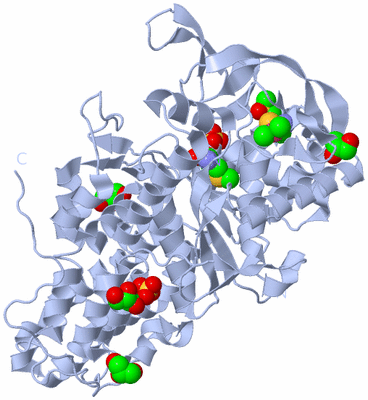 Image Biological Unit 1