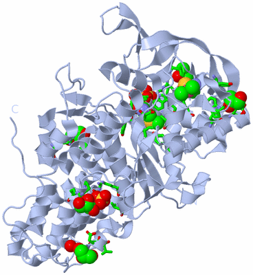 Image Biol. Unit 1 - sites