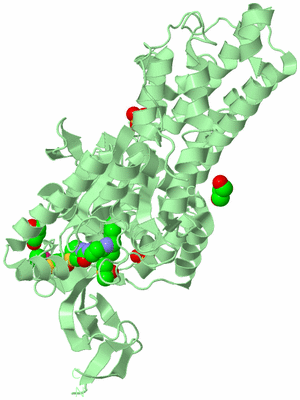 Image Biological Unit 2