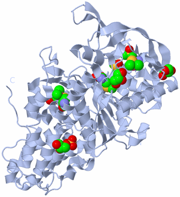 Image Biological Unit 1