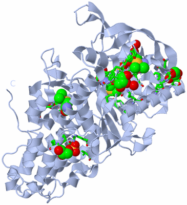 Image Biol. Unit 1 - sites