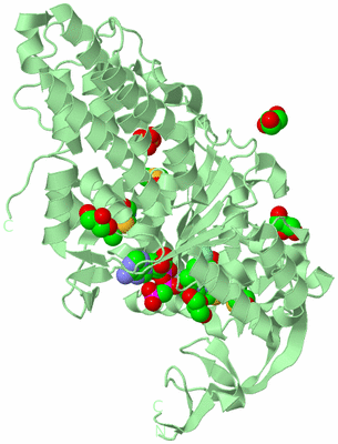 Image Biological Unit 2