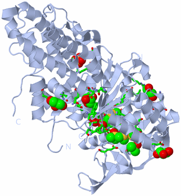 Image Biol. Unit 1 - sites