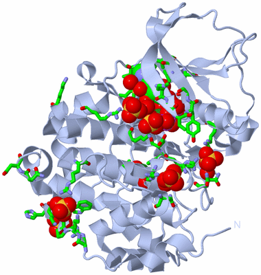 Image Biol. Unit 1 - sites