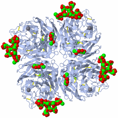 Image Biological Unit 1