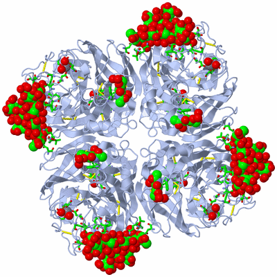 Image Biol. Unit 1 - sites