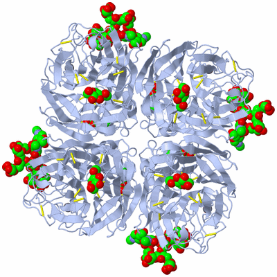 Image Biological Unit 1