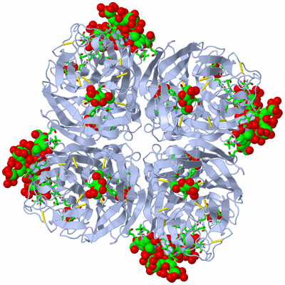 Image Biol. Unit 1 - sites