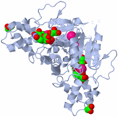 Image Biological Unit 1