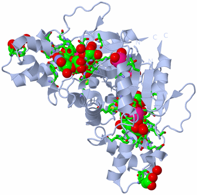 Image Biol. Unit 1 - sites