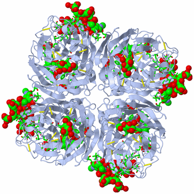 Image Biol. Unit 1 - sites