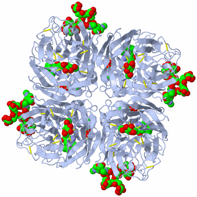 Image Biological Unit 1