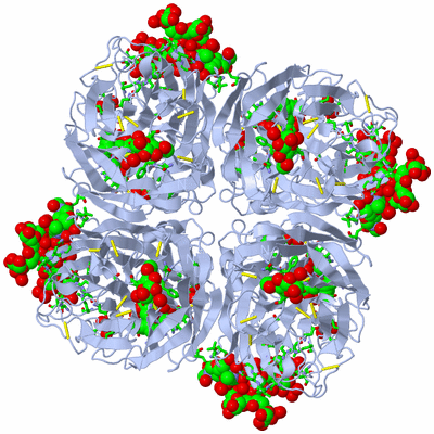 Image Biol. Unit 1 - sites