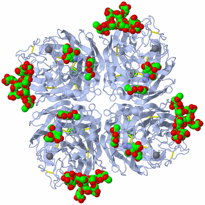 Image Biological Unit 1