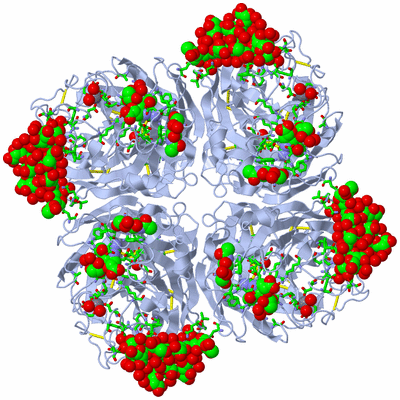 Image Biol. Unit 1 - sites