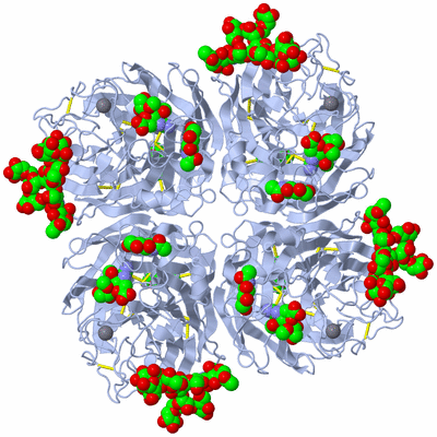 Image Biological Unit 1