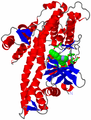 Image Asym./Biol. Unit - sites